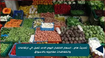 تحديث هام.. أسعار الخضار اليوم الأحد تصل إلى ارتفاعات وانخفاضات مفاجئة بالأسواق